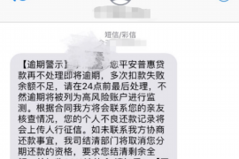 嵊州为什么选择专业追讨公司来处理您的债务纠纷？